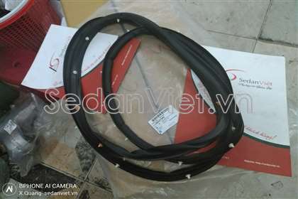 Gioăng cánh cửa - 95908376