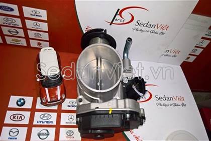 Bướm ga 96447970
