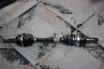 Cây láp trái 96549101