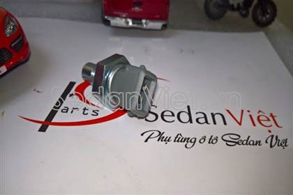 Cảm biến nhiệt độ nước lắp thân máy 96815490
