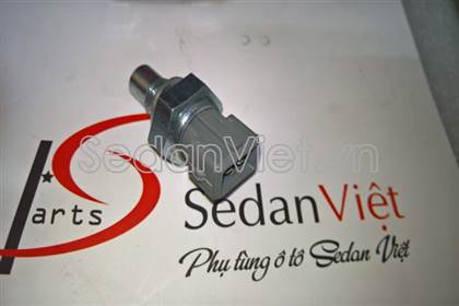 Cảm biến nhiệt độ nước lắp thân máy 96815490P