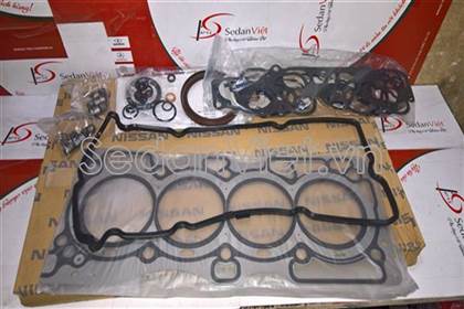 Bộ gioăng đại tu A0101AE226