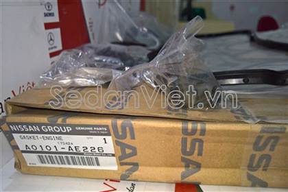 Bộ gioăng đại tu A0101AE226