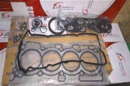 Bộ gioăng đại tu A0101AE226