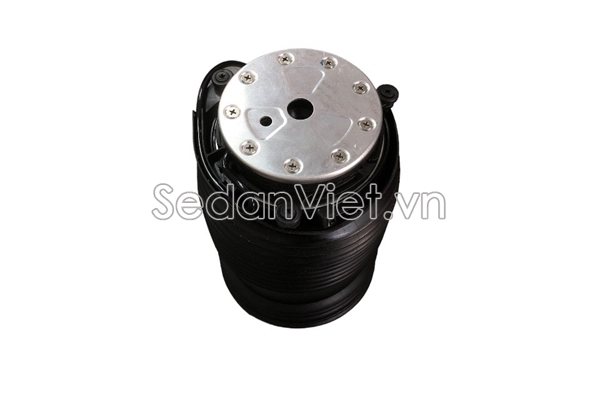 Bóng hơi giảm xóc sau A2133200125