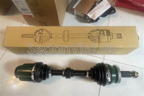 Cây láp phải AHY20