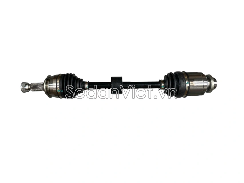 Cây láp số sàn