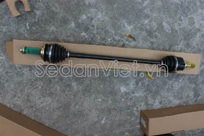 Cây láp phải - C-T08084