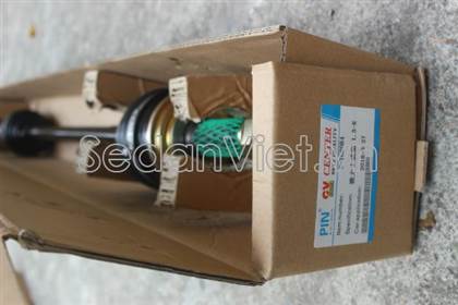 Cây láp phải C-T08084