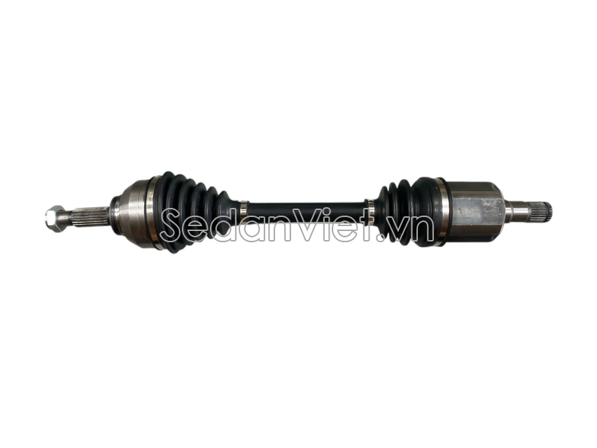 Cây láp - C-VW021-8H