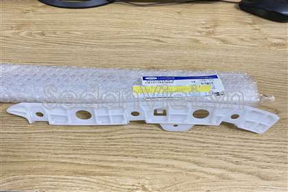 Nẹp cài cản trước Ford Ecosport 2016-2018