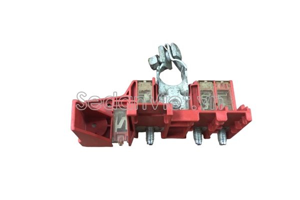 Cầu chì đầu ắc quy D07A67S99B