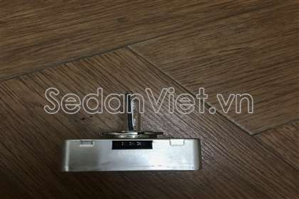 Bóng đèn pha  D5S 12V D5SC21