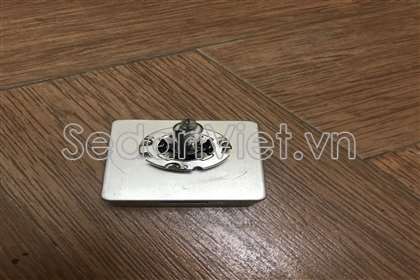 Bóng đèn pha  D5S 12V D5SC21