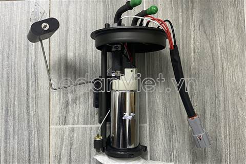 Cụm bơm xăng DPS2049