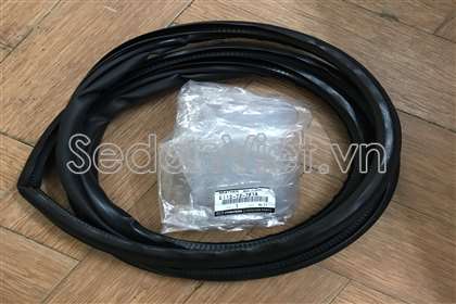 Gioăng khung cánh cửa sau E11272761A