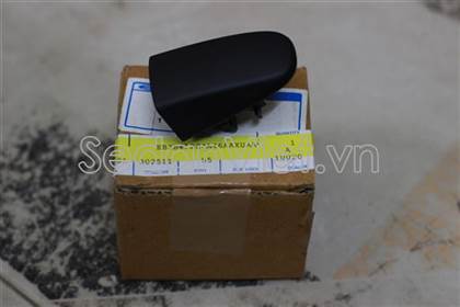 Đuôi tay mở cửa Ford Ranger 2015