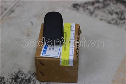 Đuôi tay mở cửa EB3Z41224A46AA