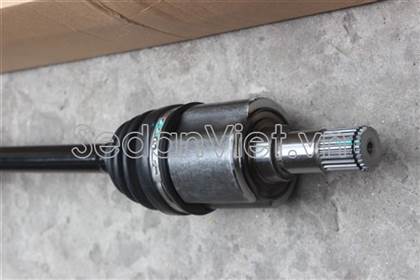 Cây láp trái HO88025
