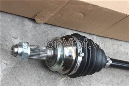 Cây láp phải HO88026