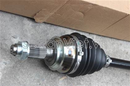 Cây láp phải HO88026