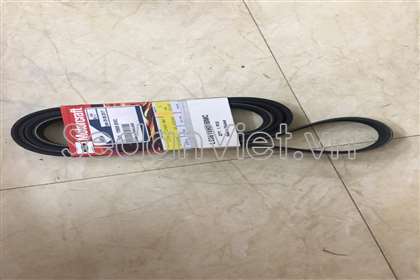 Dây curoa tổng Ford Escape 2003