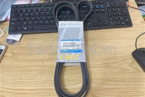 Dây curoa tổng L3C115909B