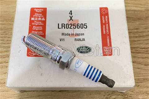 Bugi LR025605
