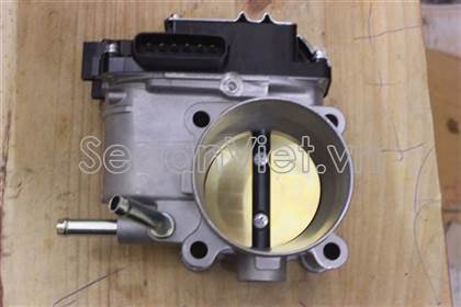 Cụm bướm ga điện Mitsubishi Grunder EX 2010