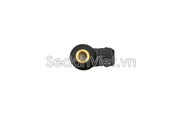 Cảm biến tiếng gõ động cơ - NSC90019C-01