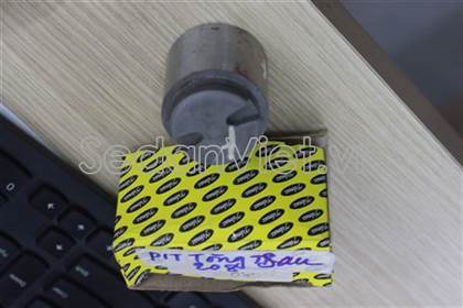 Piston phanh sau Ford Transit 2008-2017