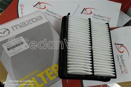 Lọc gió động cơ P501133A0