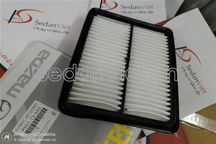 Lọc gió động cơ P501133A0