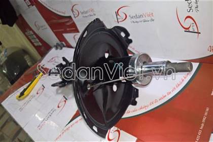 Giảm xóc sau TR209883