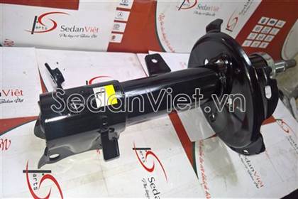 Giảm xóc sau TR209884