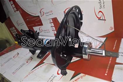 Giảm xóc sau TR209884