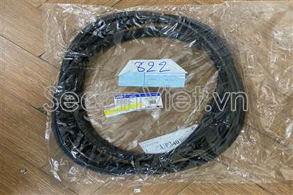 Gioăng khung cốp hậu Ford Everest 2005-2007