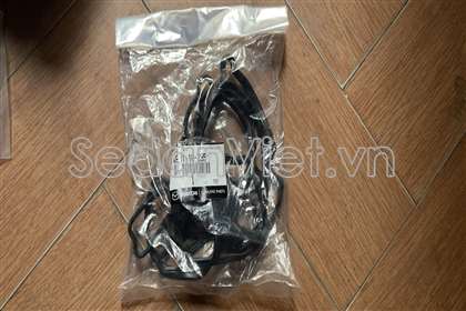 Gioăng dàn cò Ford Everest 2010-2012