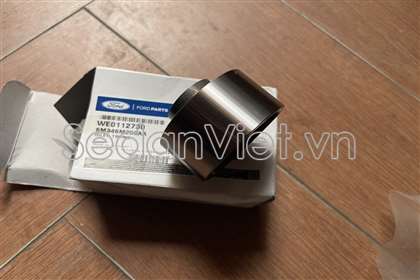 Bi tì cam Ford Everest 2010-2012