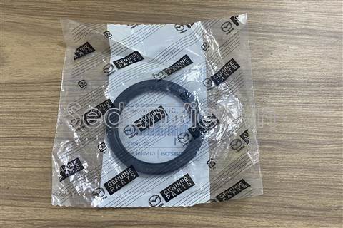 Phớt bơm dầu động cơ WL0110602
