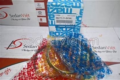 Xéc măng WLY111SC0A