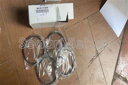 Xéc măng WLY611SC0