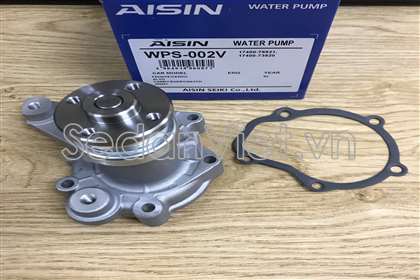 Bơm nước động cơ WPS002V