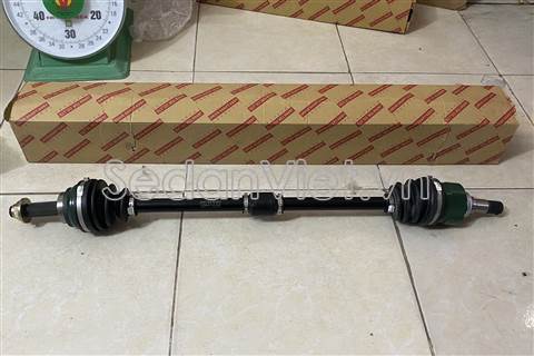 Cây láp phải YNT0008