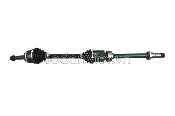 Cây láp phải YNTO010