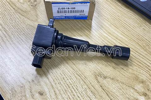Mô bin đánh lửa ZJ2018100