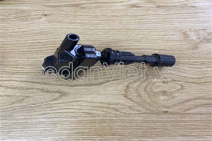 Mô bin đánh lửa ZL0118100B