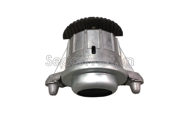 Cao su chân máy A2042404317