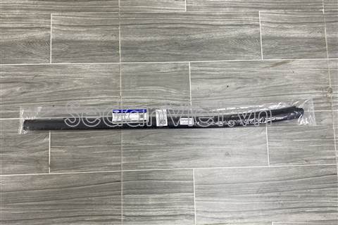 Nẹp chân kính cánh cửa ngoài sau AB3Z2625555E