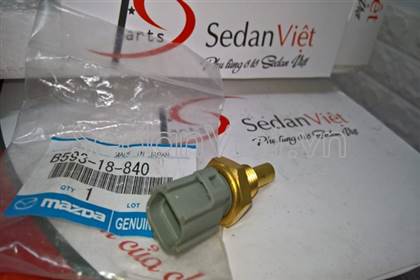 Cảm biến nhiệt độ nước 2 giắc điện B59318840A